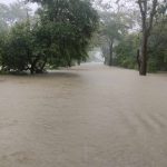 ঋতুপর্ণাকে ইডির তলব