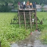 তিস্তার তীরে বুকফাটা কান্না,বিলীন একের পর এক বসতভিটা
