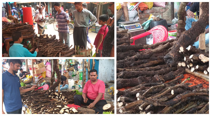 1718532850.BN24 News cover 1