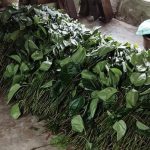 পাথরঘাটায় ৭ কোটি টাকায় চার কিমি সড়ক নির্মাণ, হস্তান্তরের আগেই ভাঙন