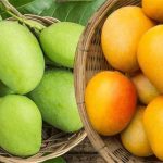 কিশোর গ্যাংয়ের অপতৎপরতা রুখতে হবে