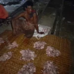 শোলাকিয়ায় সর্ববৃহৎ জামাতে ঈদুল আজহার নামাজ আদায়