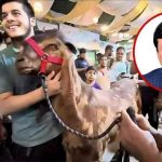 ফরচুন শুজের শেয়ার কেনাবেচা করে কোটি কোটি টাকা কামিয়েছেন এনবিআরের মতিউর রহমান