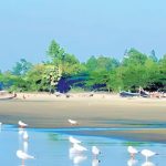 সাবেক আইজিপি বেনজীরের রিসোর্টের আয় যাবে সরকারি কোষাগারে