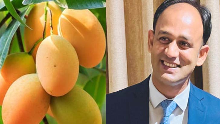 image 814440 1717849490