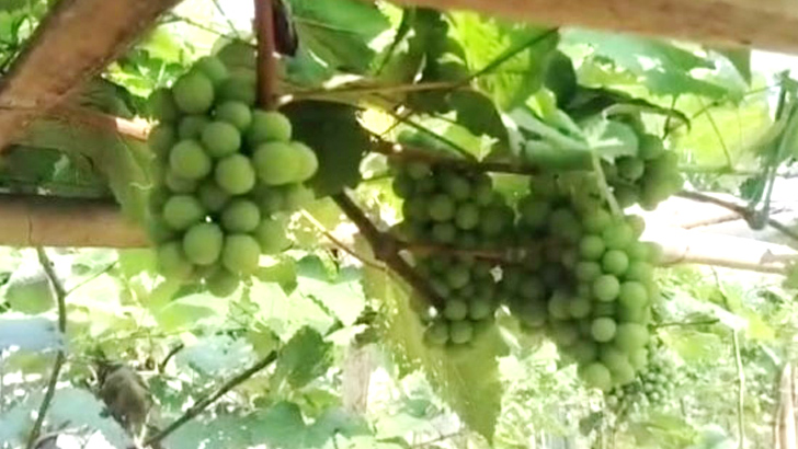 image 821749 1719593216