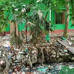 বাংলাদেশের জয় জাতিসংঘ অর্থনৈতিক ও সামাজিক পরিষদের নির্বাচনে
