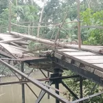 এমবিএ পাস জাবেদ এখন সফল খামারি