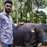 মুক্তাগাছার মণ্ডার সুখ্যাতি,জি আই পণ্য হিসাবে স্বীকৃতি