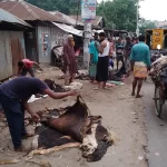 ইসরাইলি হামলায় গাজায় নিহতের সংখ্যা ৩৭ হাজার  ছাড়াল