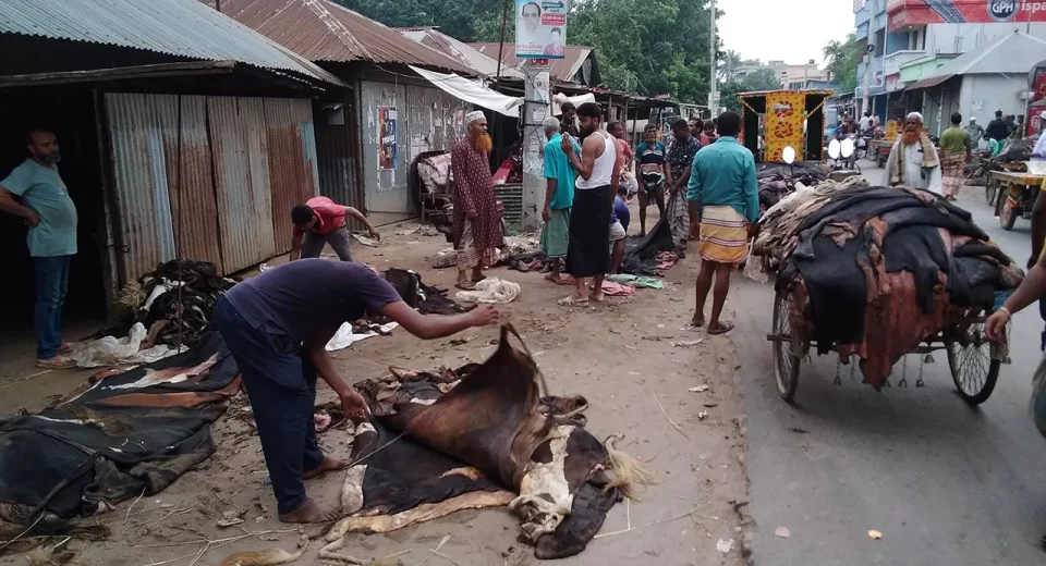 image 97162 1718639129