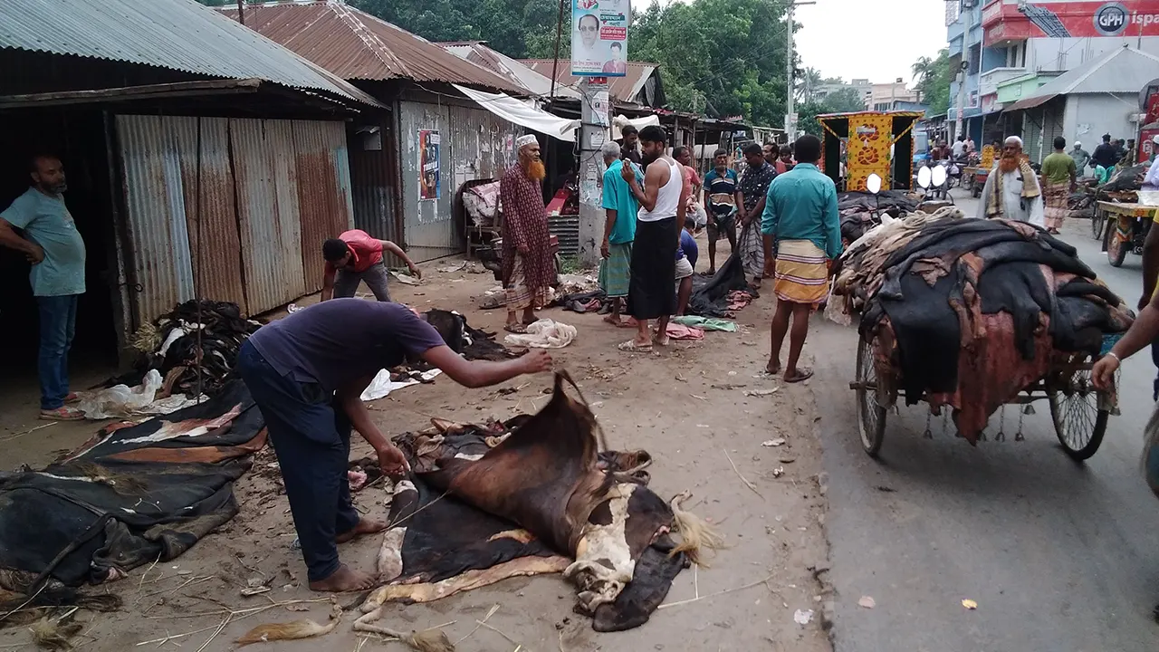 ছাগলের চামড়া ১০ টাকা