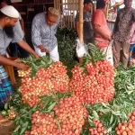 রাজনীতি অবশিষ্ট নেই: রয়টার্সে সাক্ষাৎকারে ড. ইউনূস