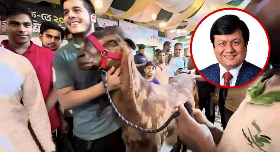 nbr 20240619 180207452