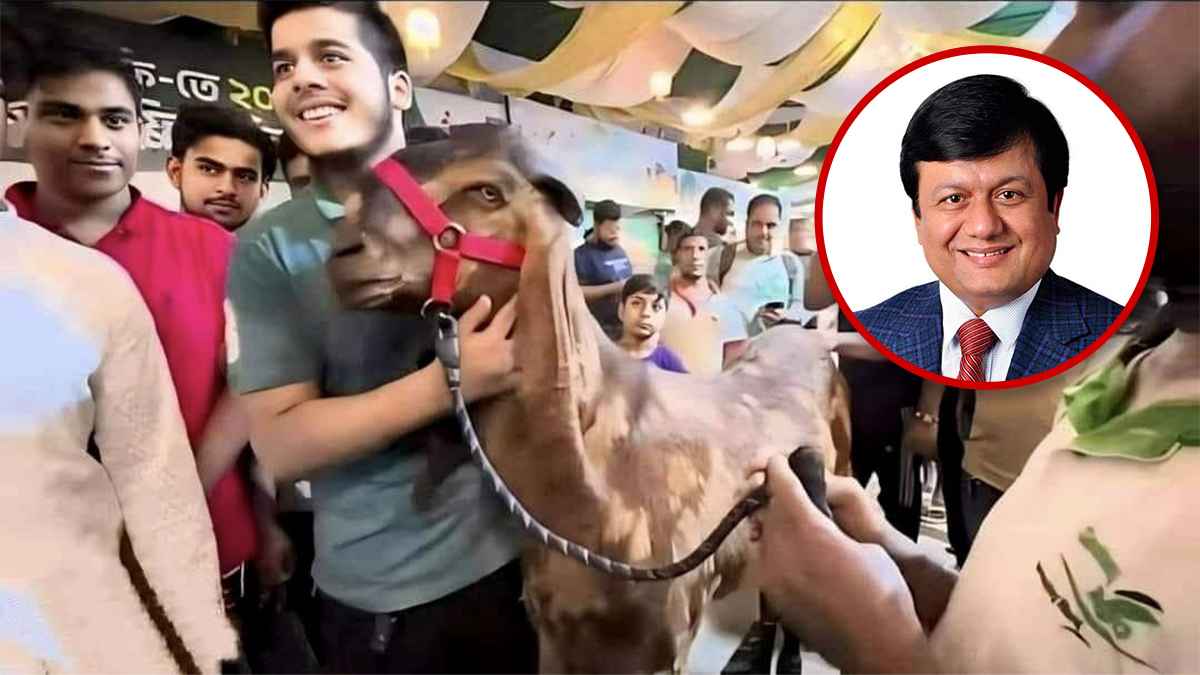 nbr 20240619 180207452