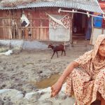 অপু বিশ্বাস ছাগল, গরু কিনলেন বুবলী