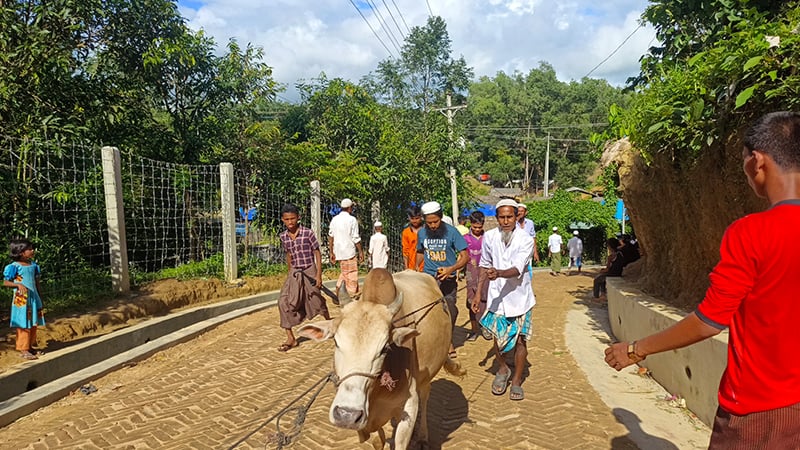 untitled 1 1718554980