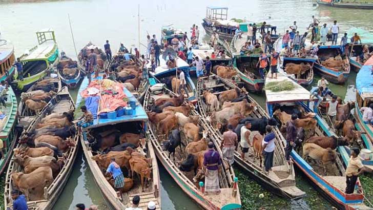 কুরবানি পশুরহাট