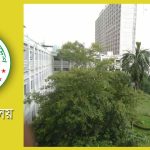 জাতীয় রাজস্ব বোর্ডে হয়রাণি ও ঘুষ বাণিজ্যে মতিউরদের ঘাঁটি