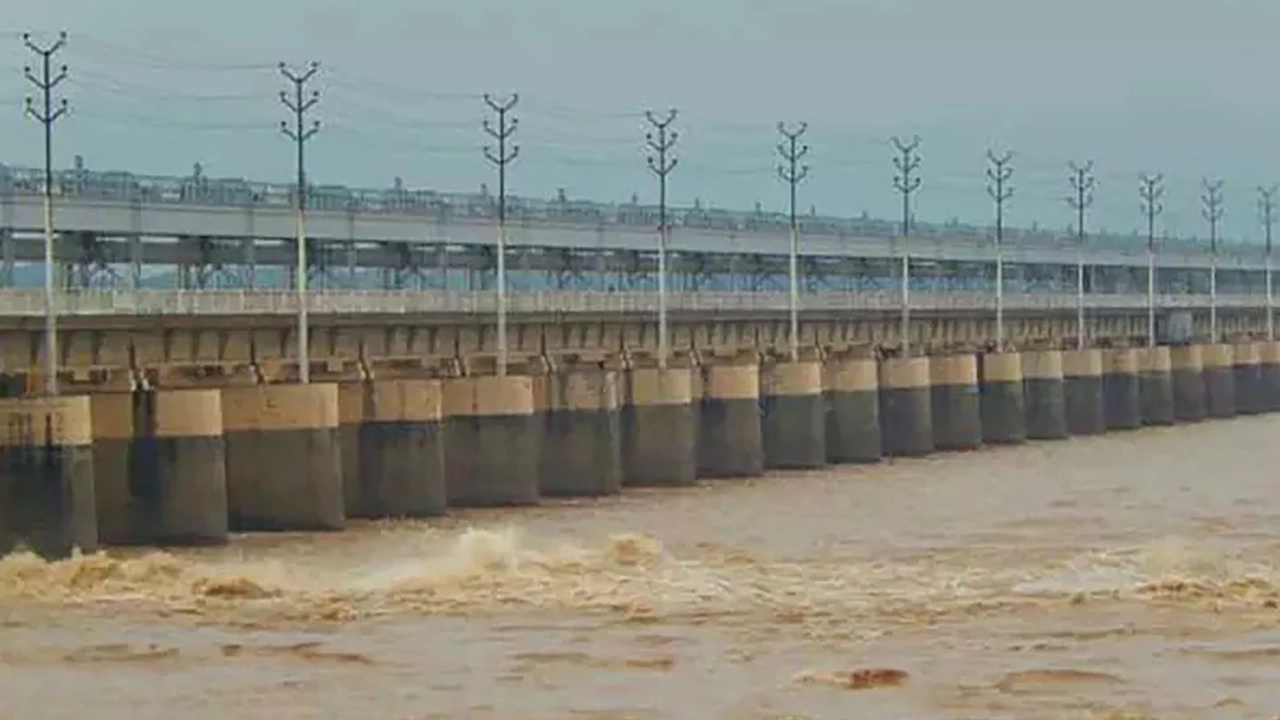 খুলে দেওয়া হলো ফারাক্কার সব গেট 8 image 115492 1724674339