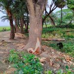 ছাত্র হত্যার মাস্টারমাইন্ড শতাধিক পুলিশ সদস্য
