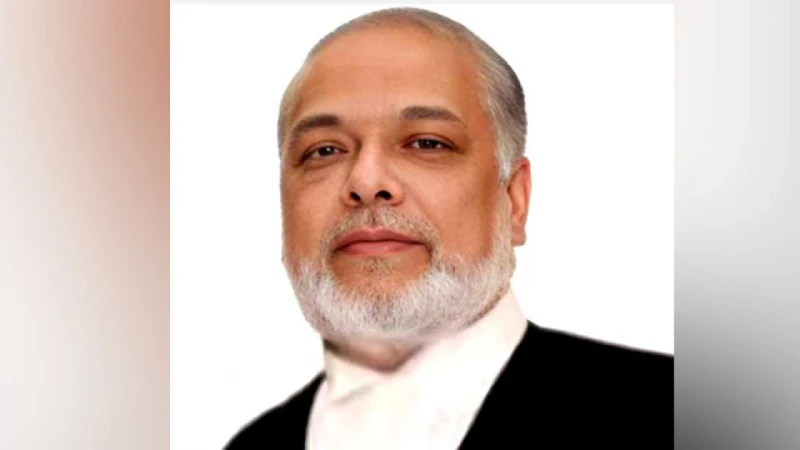 news 1730204910378