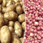 ডিএনএ নমুনা দিয়েছেন সাবেক এমপি আনারের কন্যা ডরিন