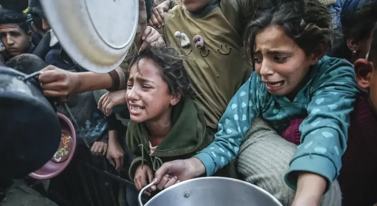 image 174382 1742741689