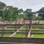 পিটিয়ে হত্যার ঘটনা বাড়ছে আশঙ্কাজনকভাবে