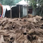 রাজউক প্লট বরাদ্দে দুর্নীতি:হাসিনা-জয়ের বিরুদ্ধে গ্রেপ্তারি পরোয়ানা