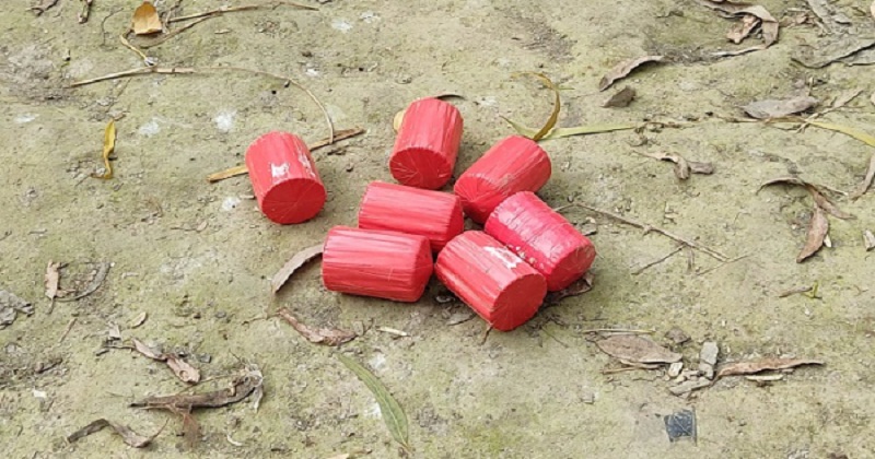 koktel