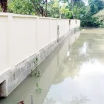 আ.লীগকে নিষিদ্ধ করার দাবি জোরালো হচ্ছে: ব্যারিস্টার ফুয়া