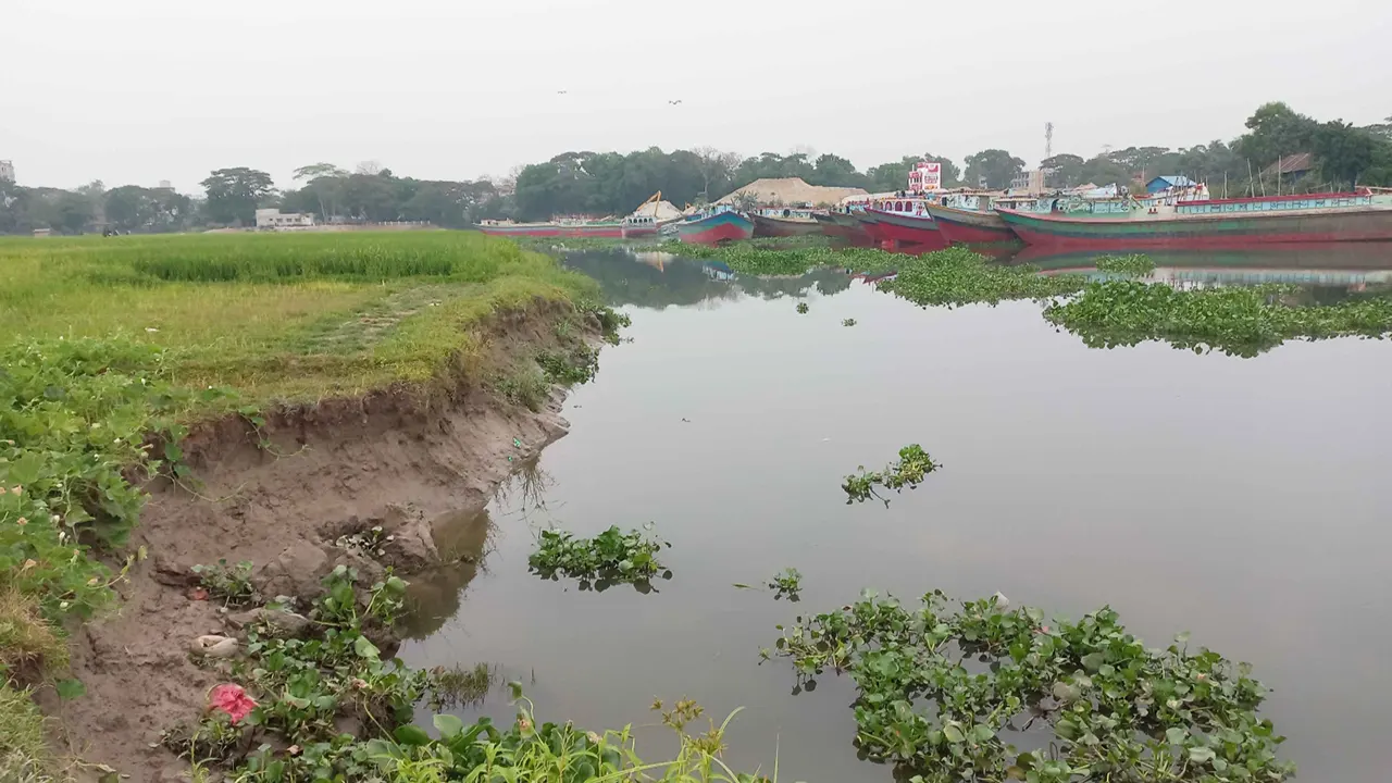 ডাকাতিয়া নদীর চর