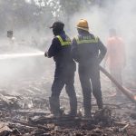 ভারতে উড়োজাহাজ বিধ্বস্ত হওয়ার ‘সম্ভাব্য’ কারণ পাখির আঘাত!