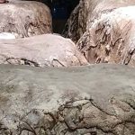 চামড়া সিন্ডিকেটের বিরুদ্ধে কঠোর ব্যবস্থা নিতে ইসলামী আন্দোলনের আহবান