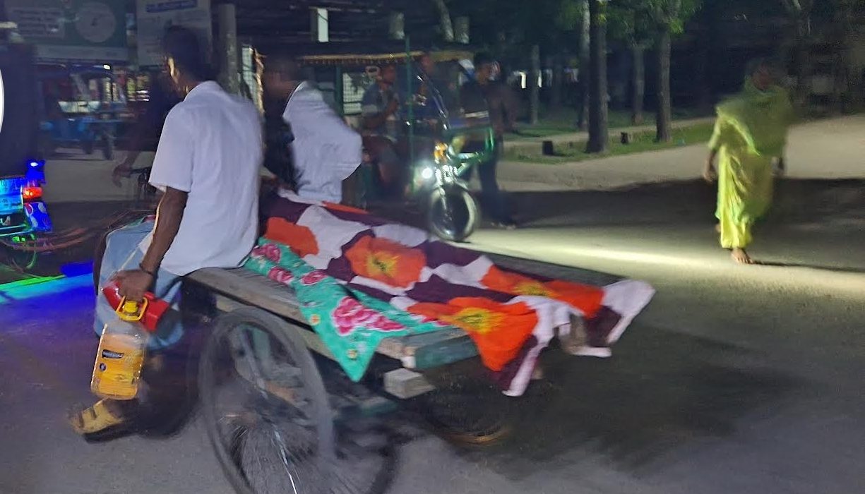 dengu barguna