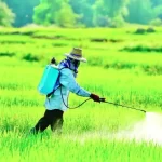 কাঠালিয়ায় ফ্যাসিবাদের দোসর এলজিইডির জিয়ার বিরুদ্ধে দুর্নীতি ও অনিয়মের অভিযোগ