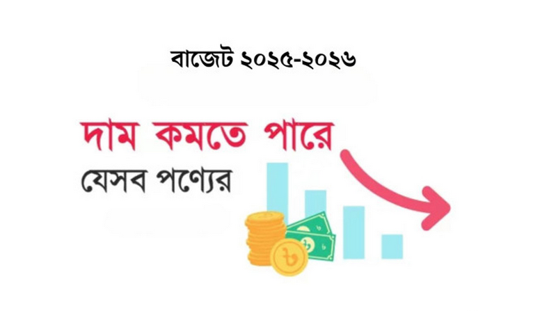 কমতে পারে যেসব পণ্যের দাম