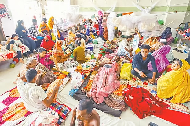 বরগুনা জেলায় ডেঙ্গু
