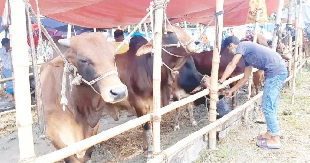 বরিশালে কোরবানির পশুর হাট