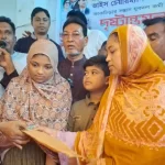 লন্ডন সাউথেন্ড বিমানবন্দরে বিমান বিধ্বস্ত