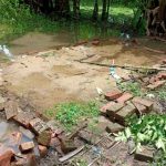 জাতীয় নাগরিক পার্টি (এনসিপি) ‘কিংস পার্টি’ : ইফতেখারুজ্জামান