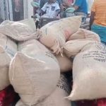 মহিপুরে এক ইলিশ ১৪ হাজার টাকায় বিক্রি