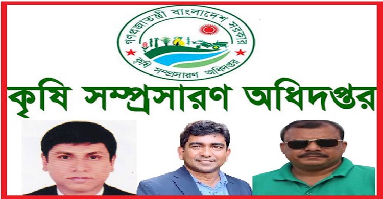 কৃষি সম্প্রসারণ অধিদপ্তর: ৩ প্রকল্পের পিডির নেতৃত্বে চলেছে হরিলুট 20