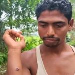 বিএনপি’র প্রার্থী চূড়ান্তে পাঁচ জরিপ , শিগগিরই গ্রিন সিগন্যাল