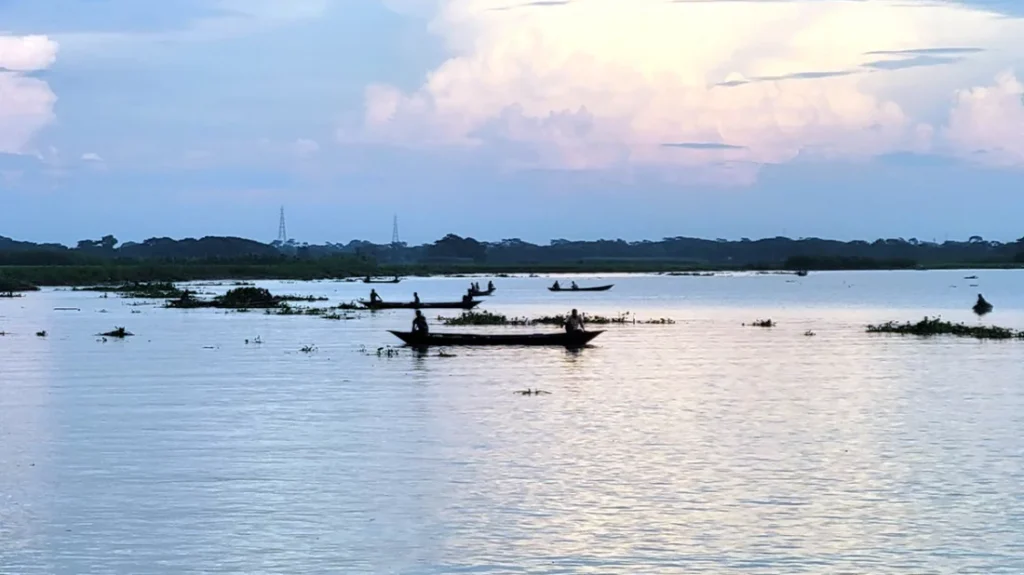 অবাধে ইলিশ শিকার