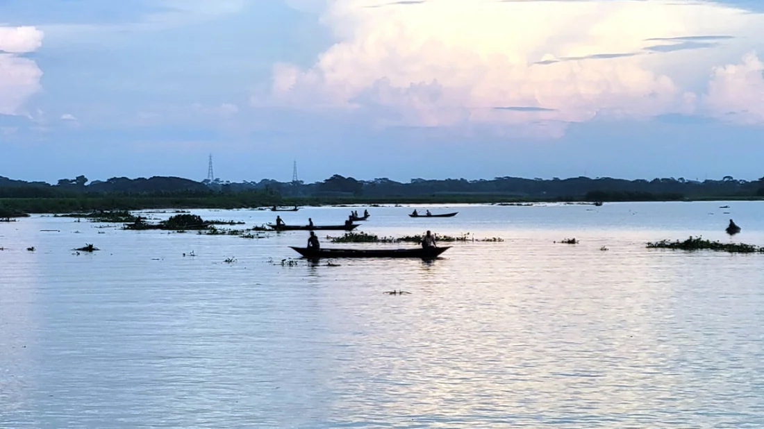 অবাধে ইলিশ শিকার