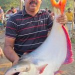 শক্তিশালী কোনো মুসলিম রাষ্ট্র চায় না ইসরাইল,ইরান-তুরস্ককেও খণ্ডবিখণ্ড করতে চায়