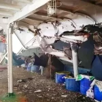 মঞ্চে বিশেষ চেয়ার সরিয়ে সাধারণ চেয়ারে বসলেন তারেক রহমান