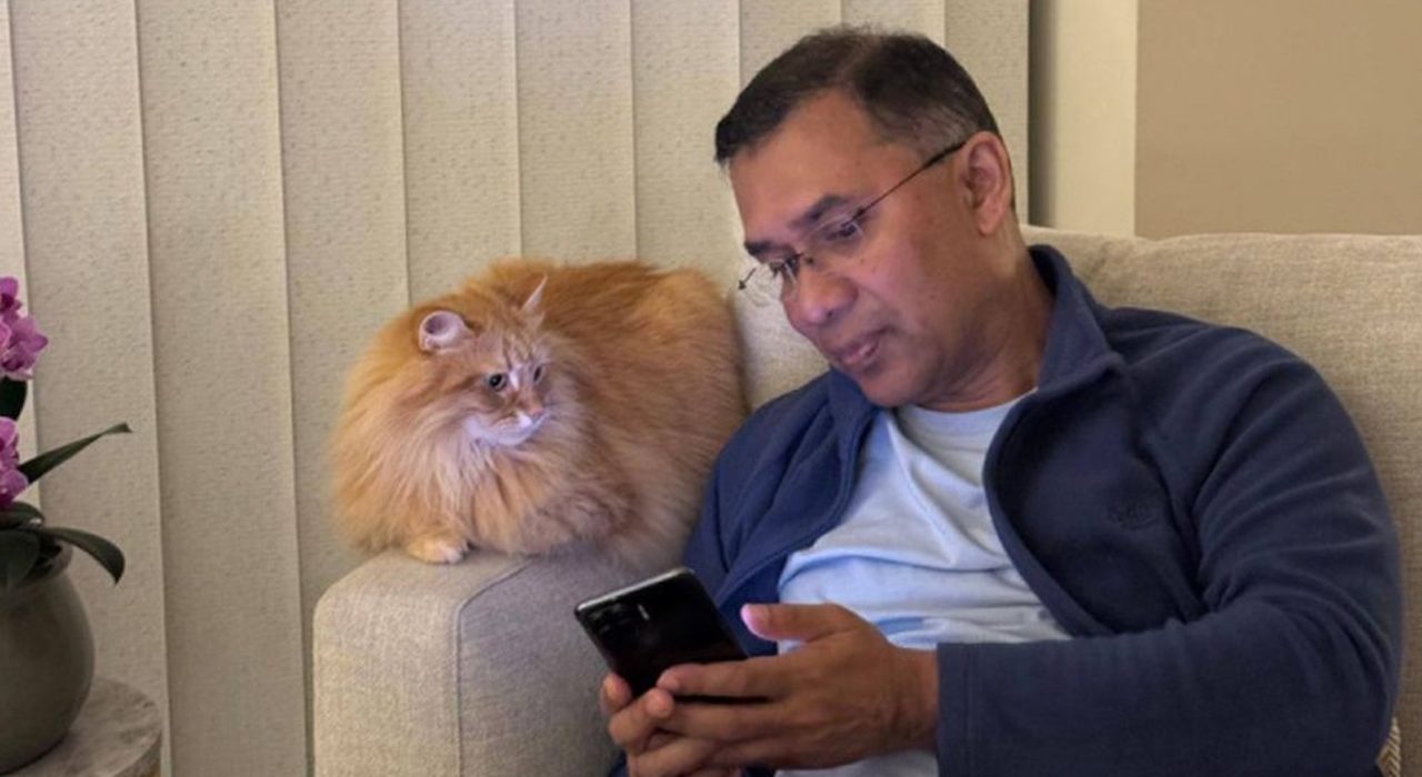 image 1766603381 LLFR4kSuue9hOH9j52eqfQLcBNXEFzvDCasYoYoz